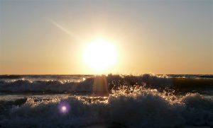 P1520068